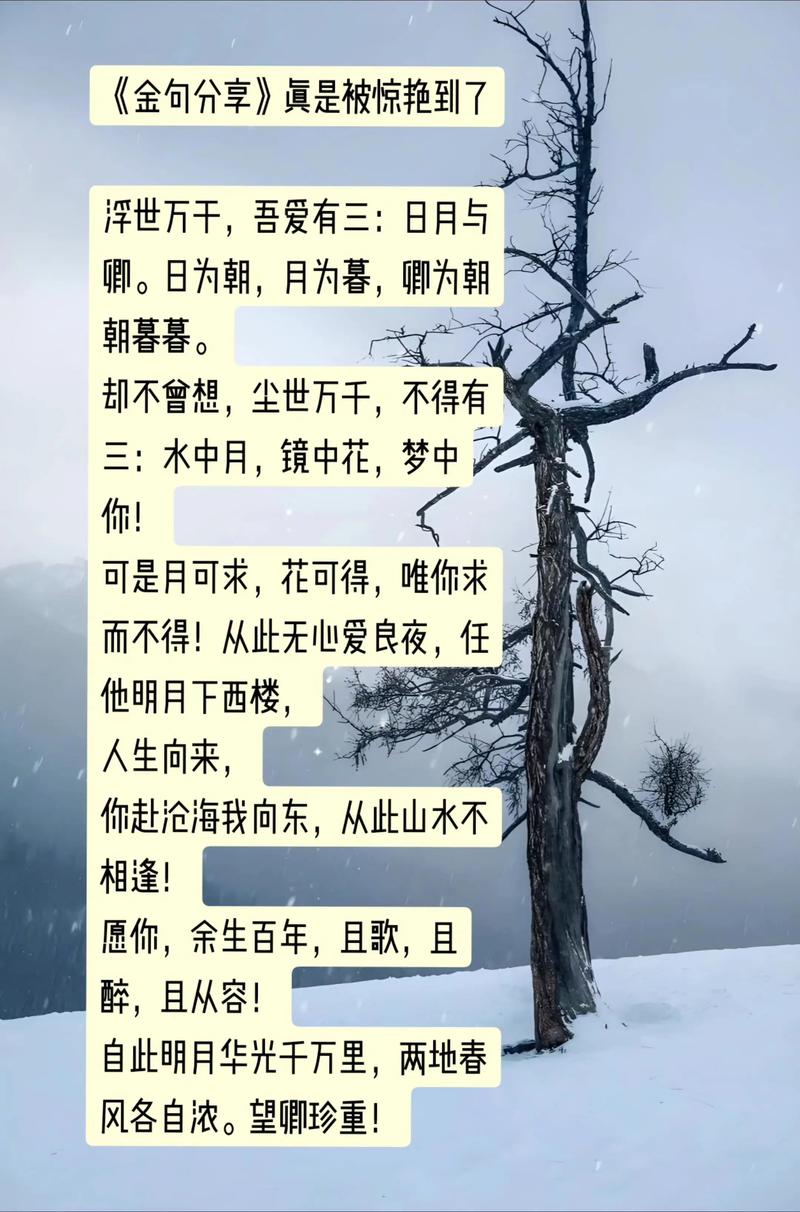 诗歌之美，究竟何在？-图3