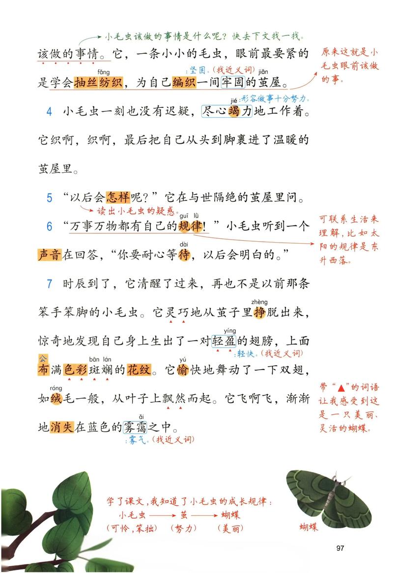 诗歌毛毛虫如何蜕变成蝶？-图3