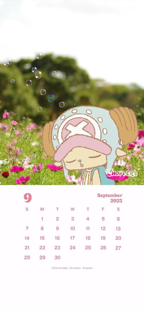 乔巴最经典名言是哪句？-图1