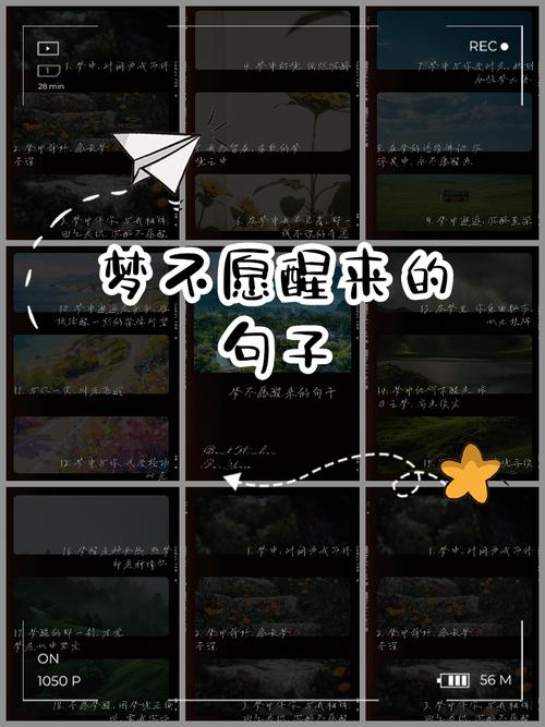 梦的名言，藏着什么秘密？-图1