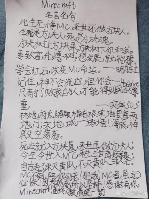 我的世界最帅名言是哪句？-图2