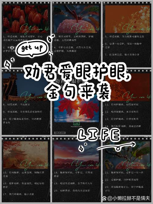 眼诗何意？-图1