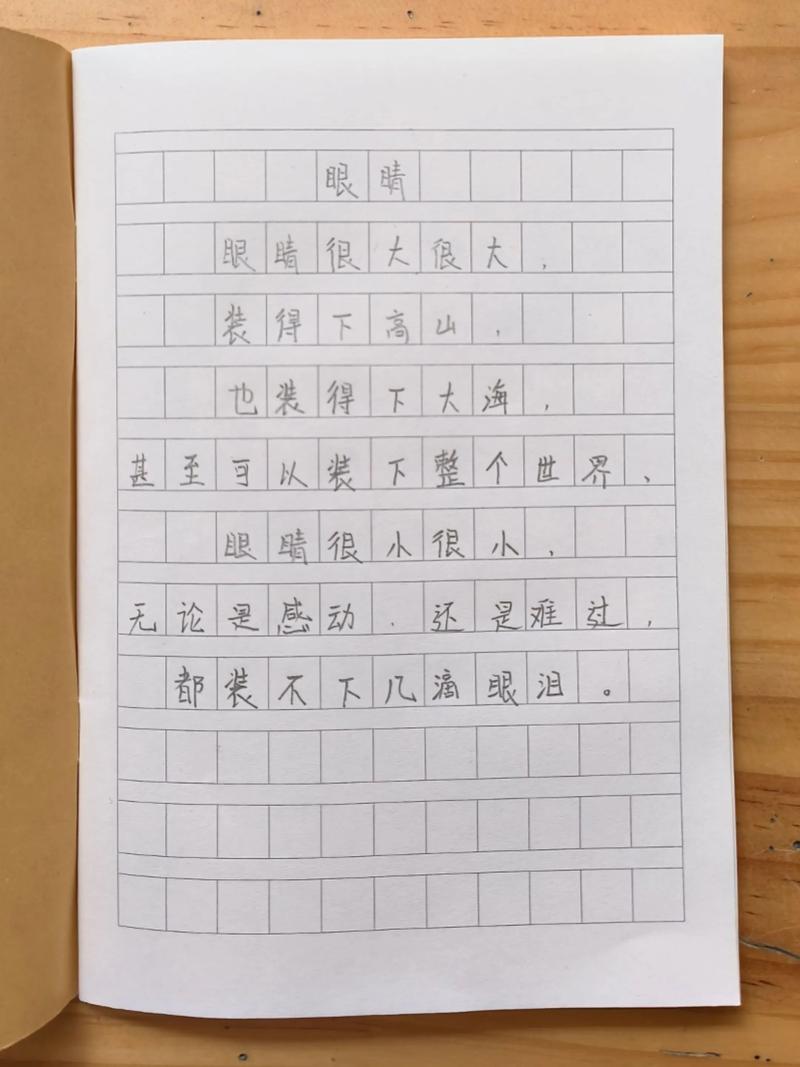 眼诗何意？-图3