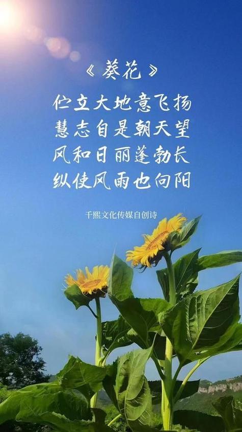 阳光诗句名言，藏着什么秘密？-图1