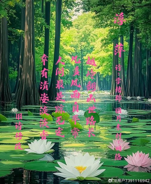 浮萍漂泊何处是归程？-图1