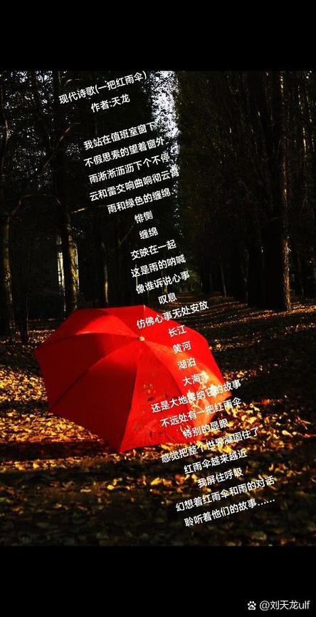 伞下藏着怎样的童诗秘密？-图3