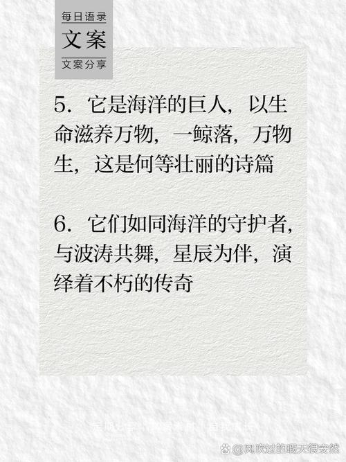 小动物名言藏着什么智慧？-图2