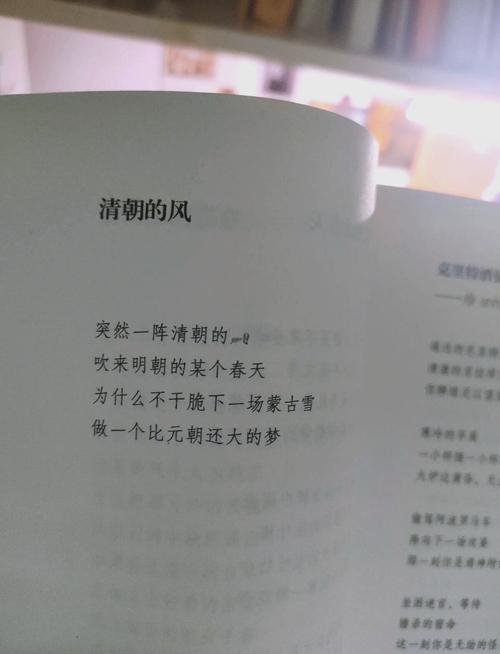 寝室为何藏着诗歌？-图3