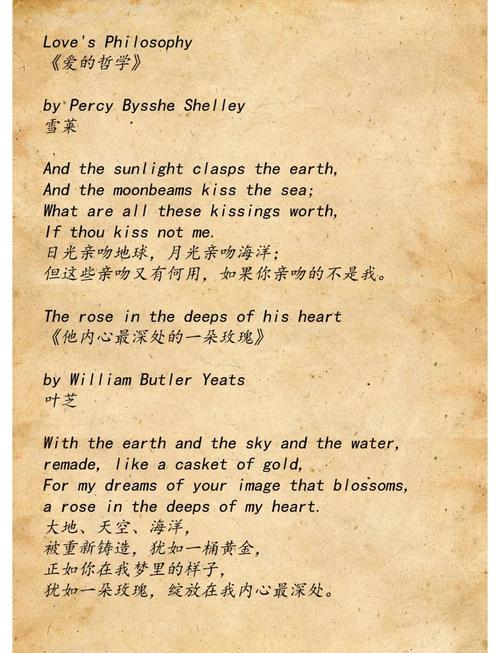 诗歌如何诠释爱？-图1