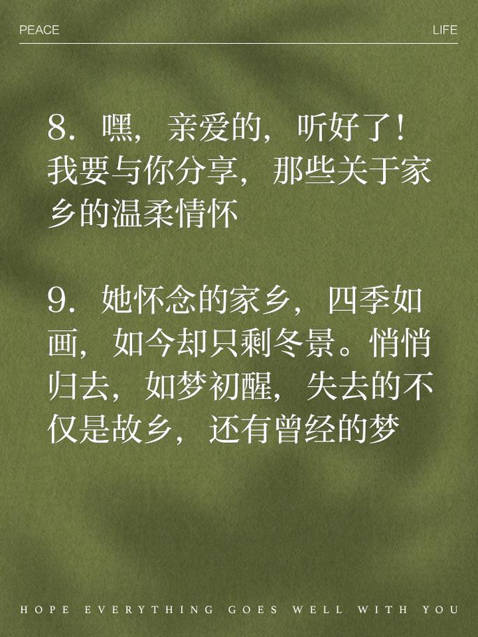 何为思念家乡最动人的名言？-图1