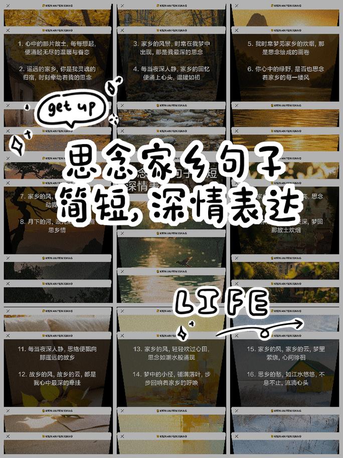 何为思念家乡最动人的名言？-图3