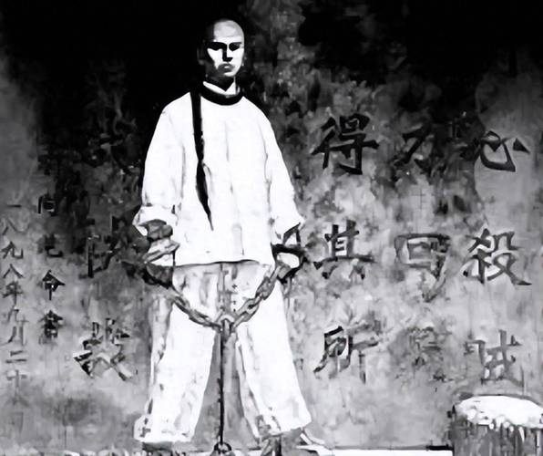 谭嗣同流血名言何意？-图2