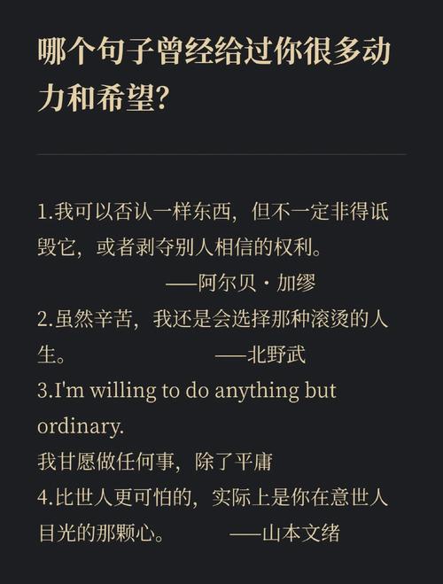 本拉登名言有何深意?-图3 本拉登名言有何深意?-图3