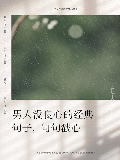 没良心名言是毒鸡汤吗?-图1 没良心名言是毒鸡汤吗?-图1