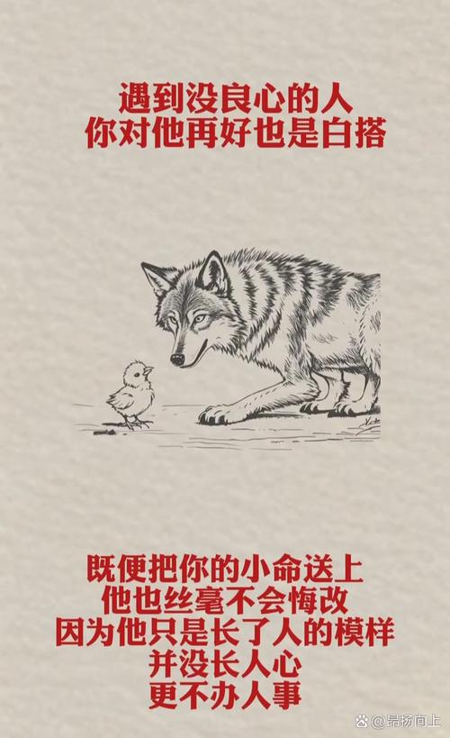 没良心名言是毒鸡汤吗?-图2 没良心名言是毒鸡汤吗?-图2