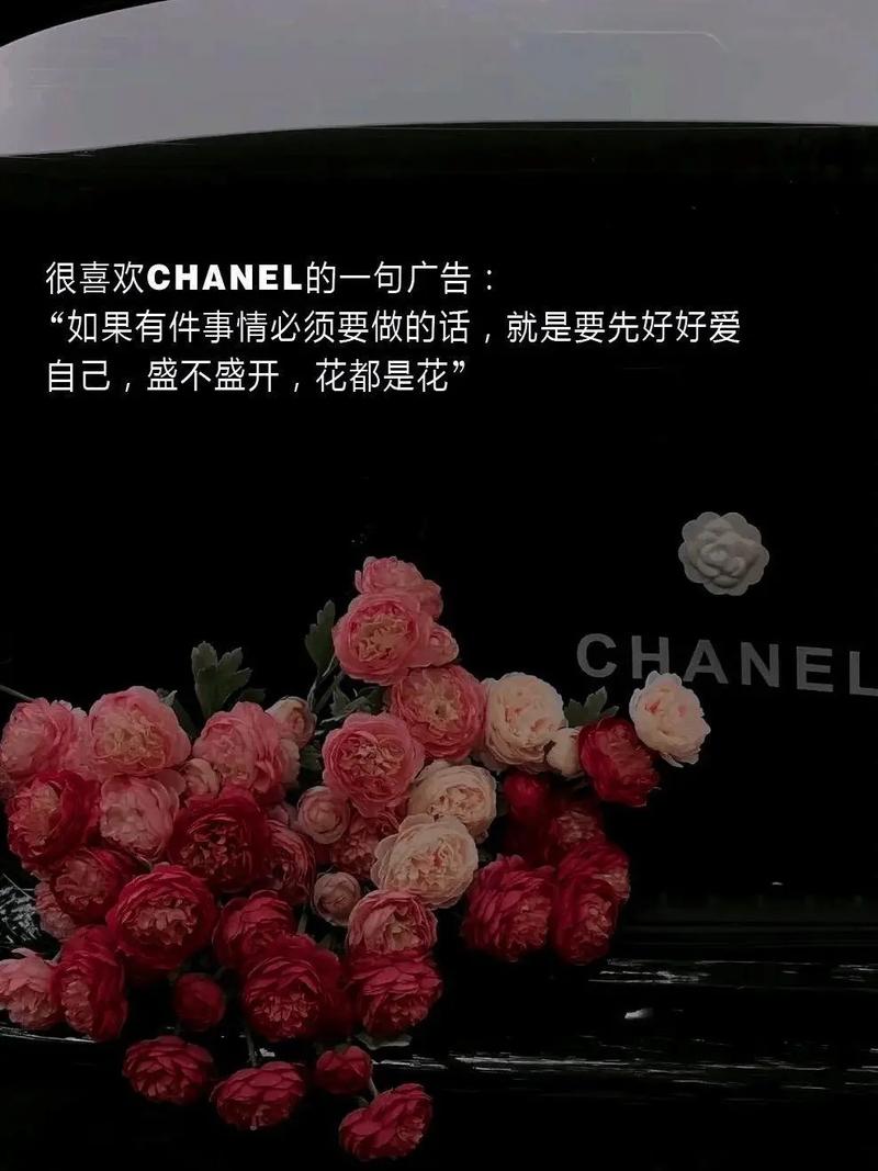 香奈儿名言名句，藏着什么智慧？-图2