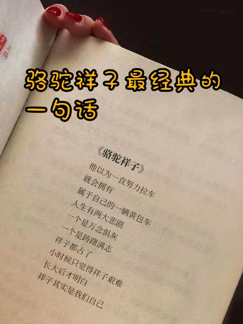 骆驼祥子藏着哪些人生箴言?-图1 骆驼祥子藏着哪些人生箴言?-图1