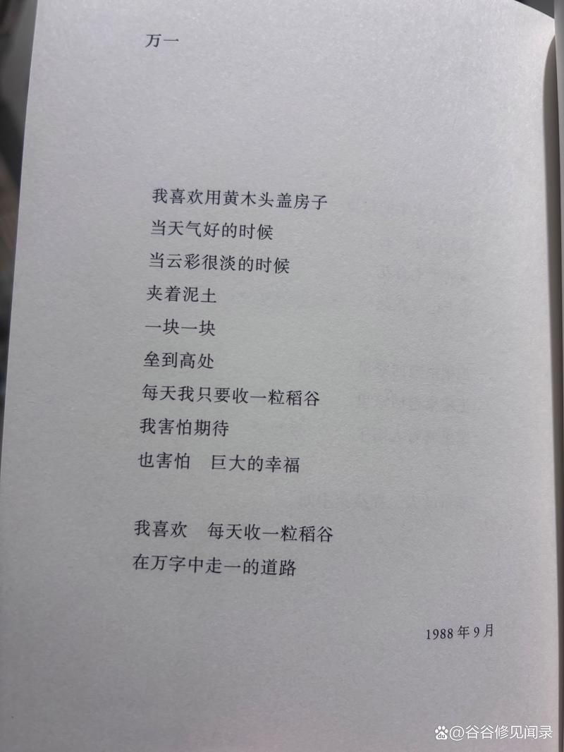 顾城的诗歌特点-图1