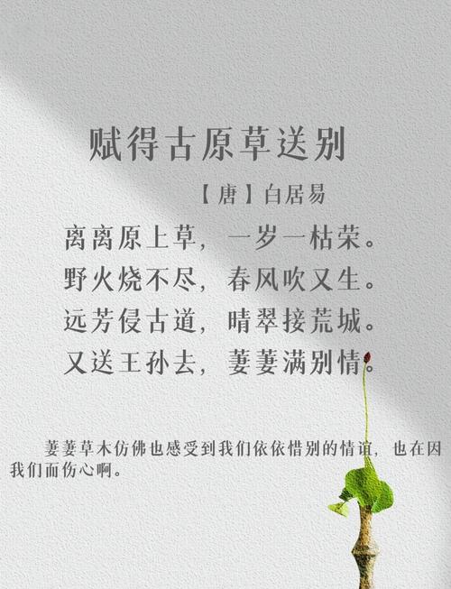 诗歌里的别字,是误笔还是巧思?-图3 诗歌里的别字,是误笔还是巧思?-图3