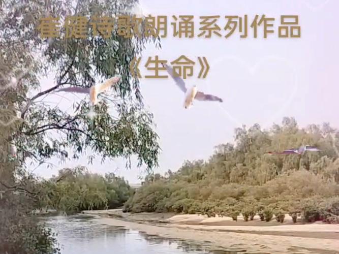 生命诗歌,为何朗诵?-图1 生命诗歌,为何朗诵?-图1