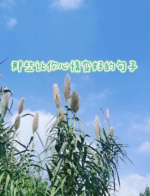 好心情名言有何魔力？-图1