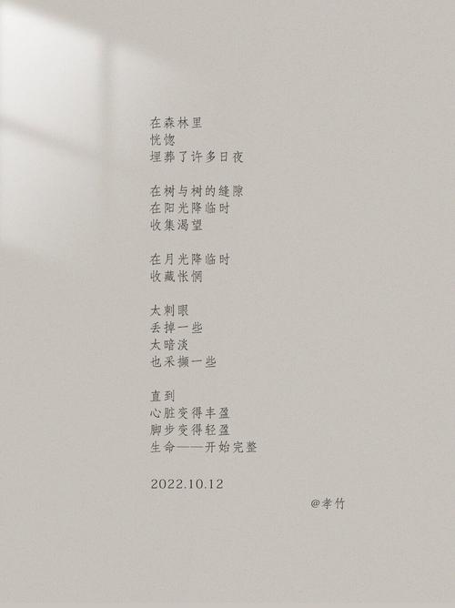 不曾是诗吗？-图2