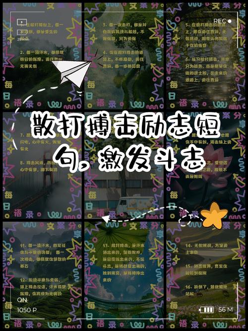 何为真正的搏击精神？-图1