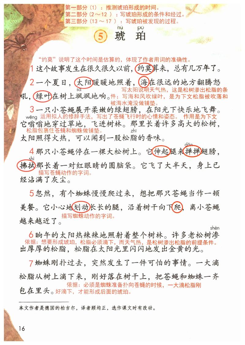 琥珀的诗,凝固了时光还是灵魂?-图1 琥珀的诗,凝固了时光还是灵魂?-图1