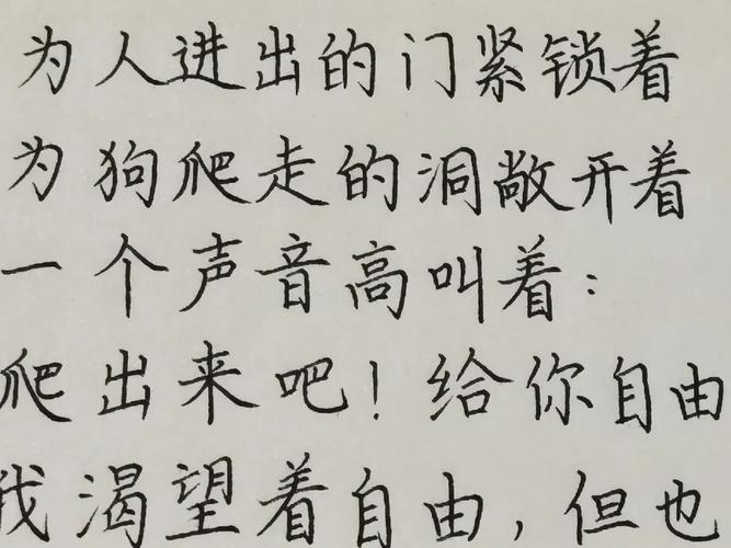 篮球与诗歌,如何共舞?-图2 篮球与诗歌,如何共舞?-图2