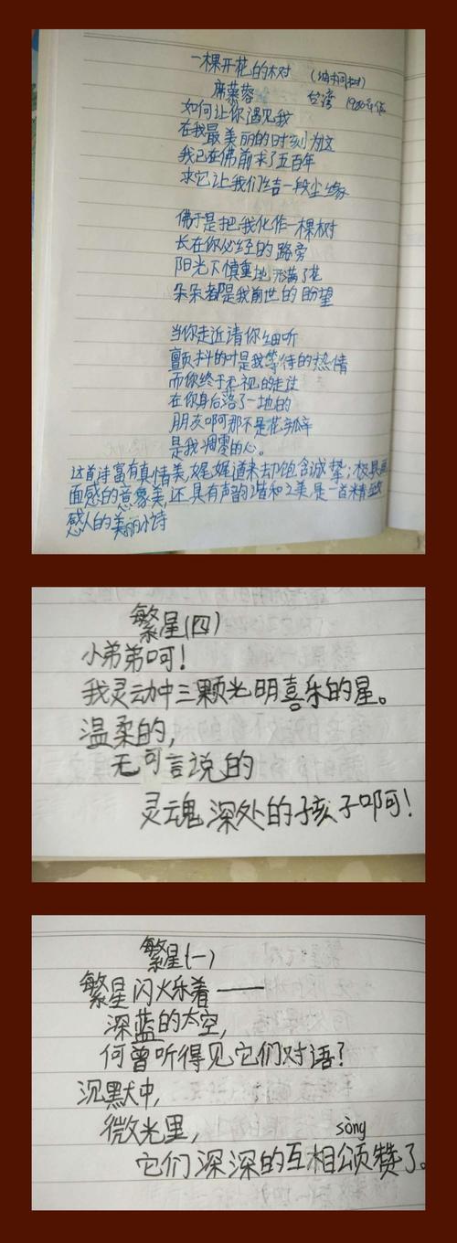 用心写诗，为何能打动人心？-图3