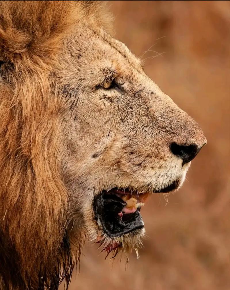 坏男孩名言有何魔力？-图3