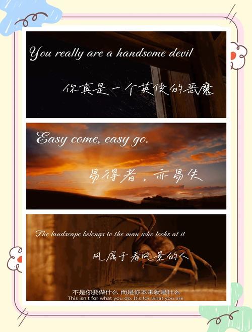 夏洛蒂名言有何深意？-图3