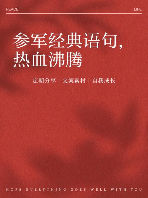 哪些拥军名言最激励人心？-图3