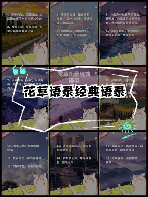 花草名言有何深意？-图3