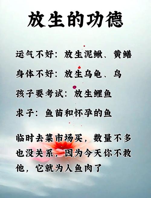 放生的名言-图1