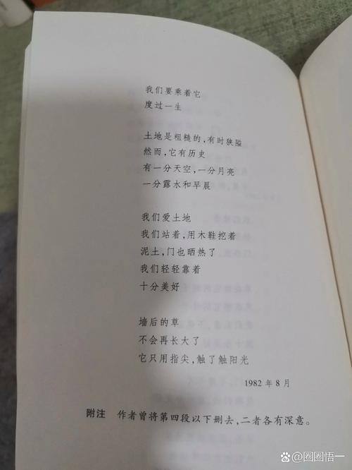 顾城诗歌为何如此纯净？-图2