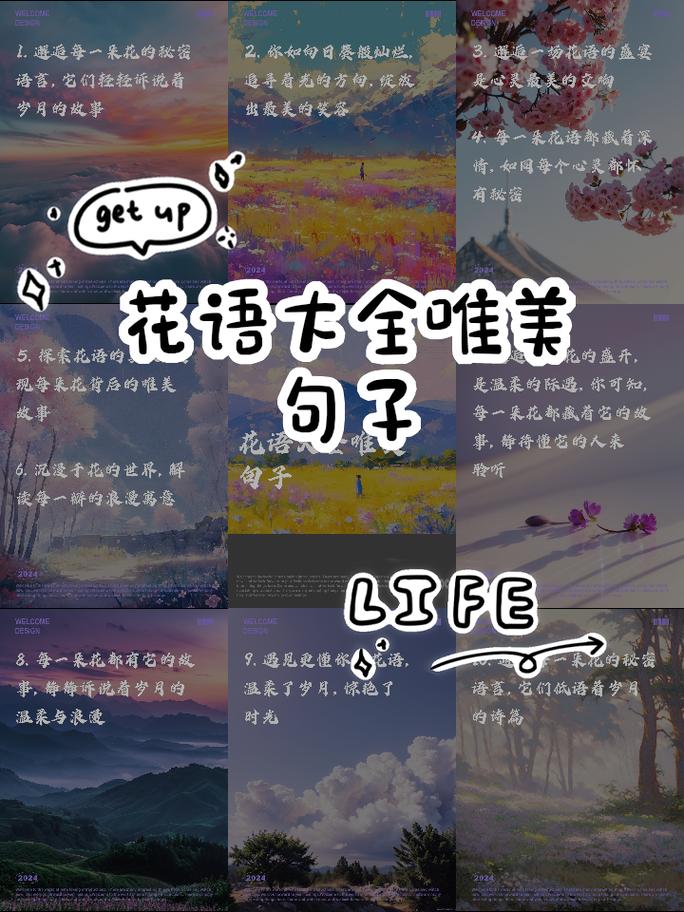 花瓣的名言-图1