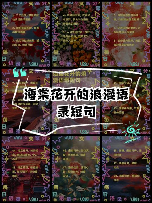 花瓣的名言-图3