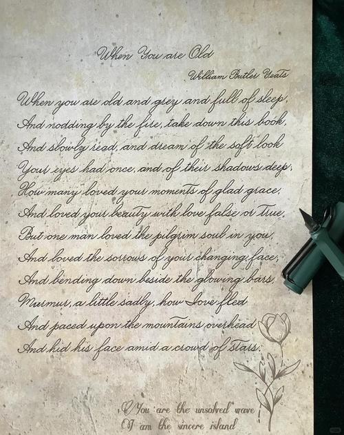 当你老了英语诗歌-图1