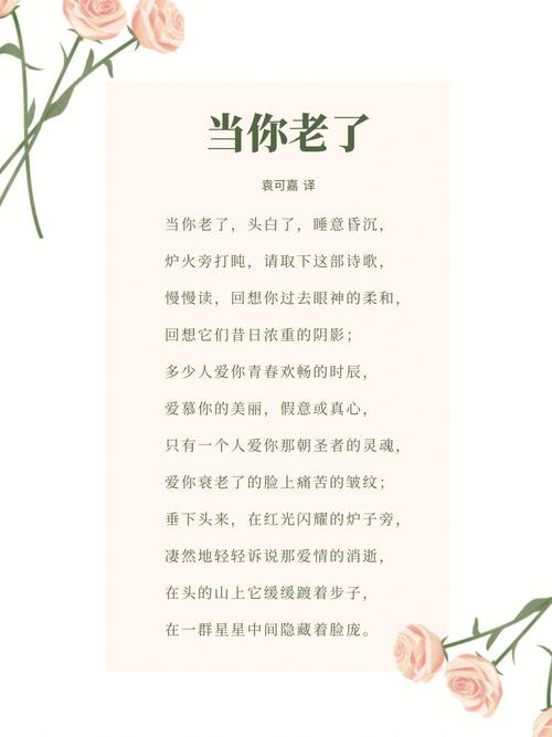 当你老了英语诗歌-图2