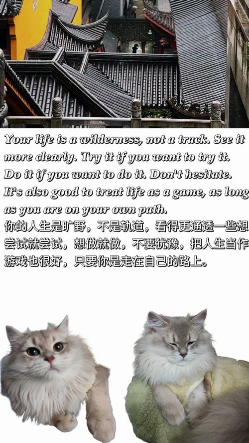 艾弗森经典名言英文是哪句？-图3