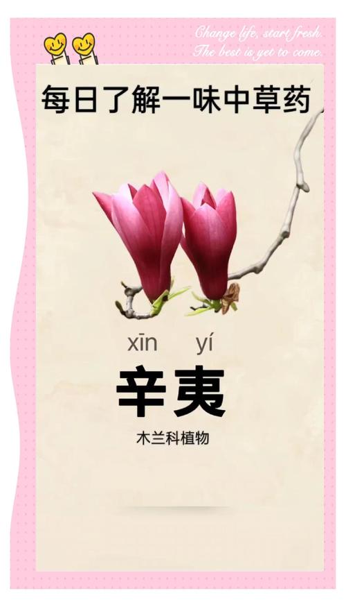 辛夷花诗歌，何意蕴藏其中？-图1