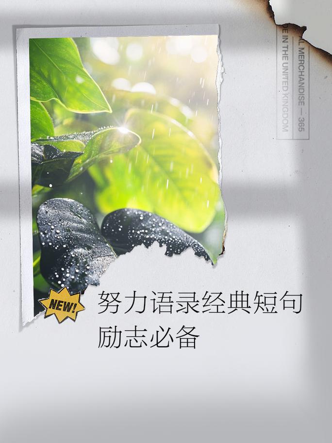 努力名言,真能激励人吗?-图3 努力名言,真能激励人吗?-图3