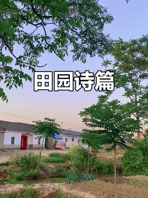 诗歌菜园里，藏着什么秘密？-图1