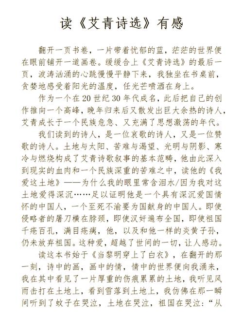 诗歌观后感，何为诗魂？-图1