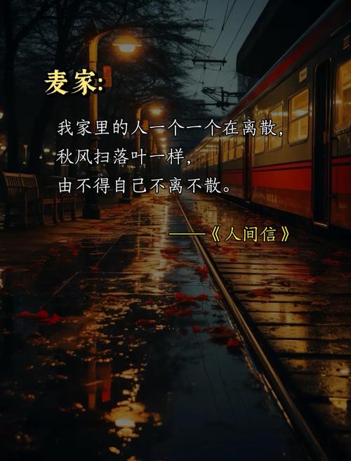 麦家名言蕴含何深意？-图1