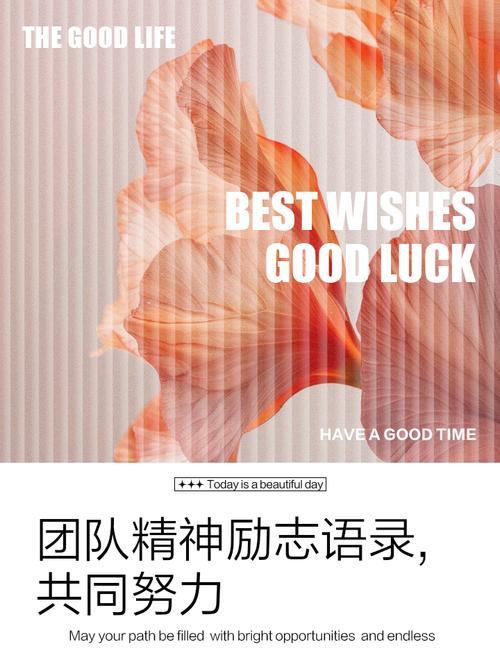 团队力量名言，为何能凝聚人心？-图3