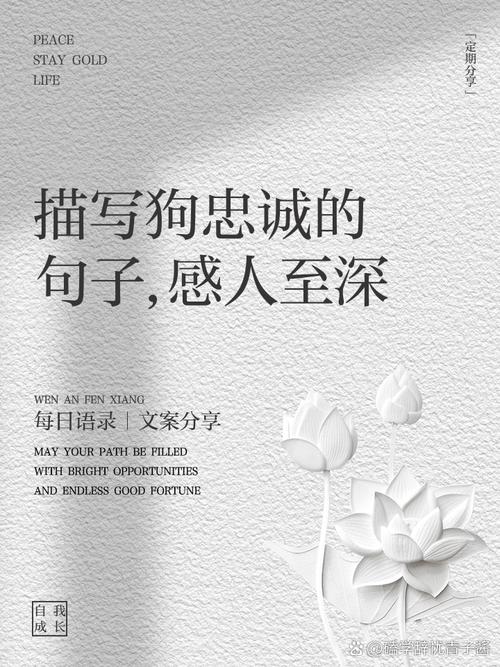 狗狗名言，藏着哪些暖心智慧？-图2