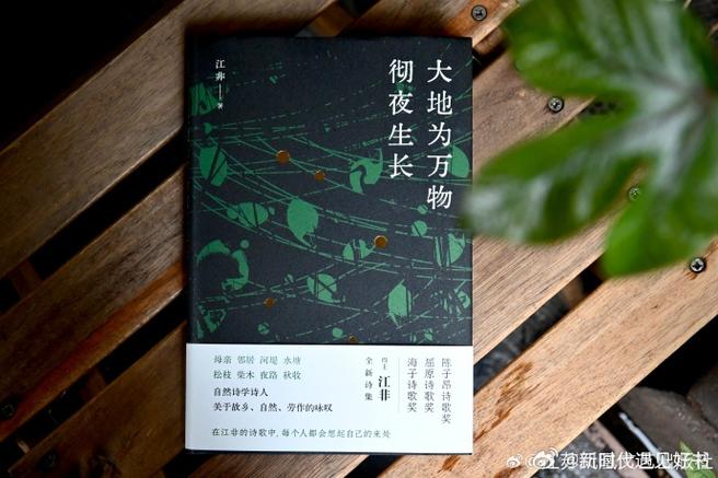 江非诗歌，如何勾勒乡土灵魂？-图3