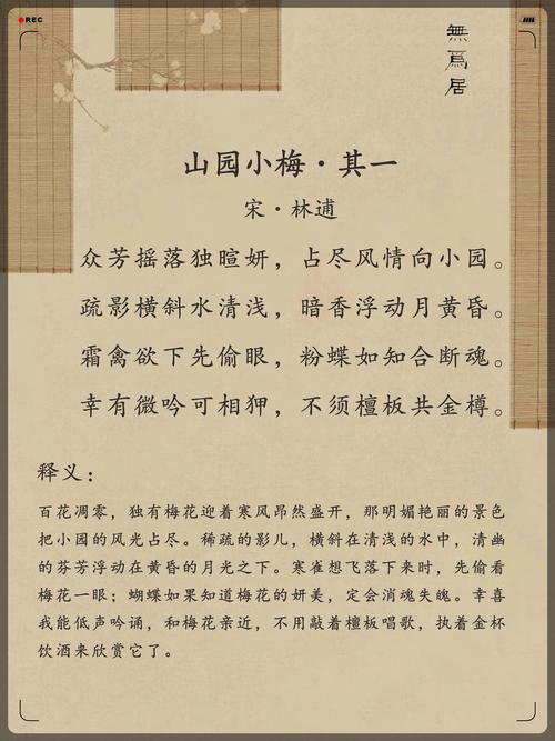 小梅唱的诗歌有何魔力？-图3